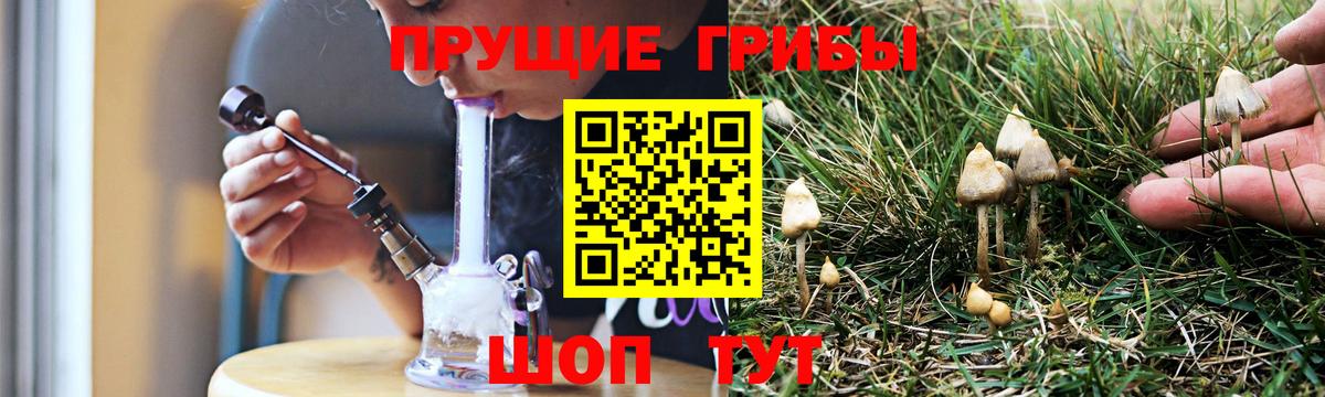 Псилоцибиновые грибы MAGIC MUSHROOMS  Вход с VPN  Красногорск 